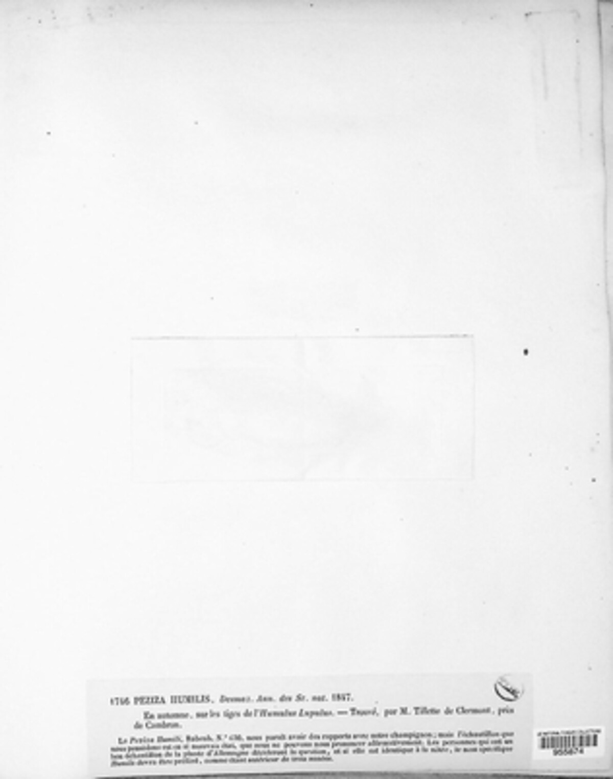 Peziza humilis image